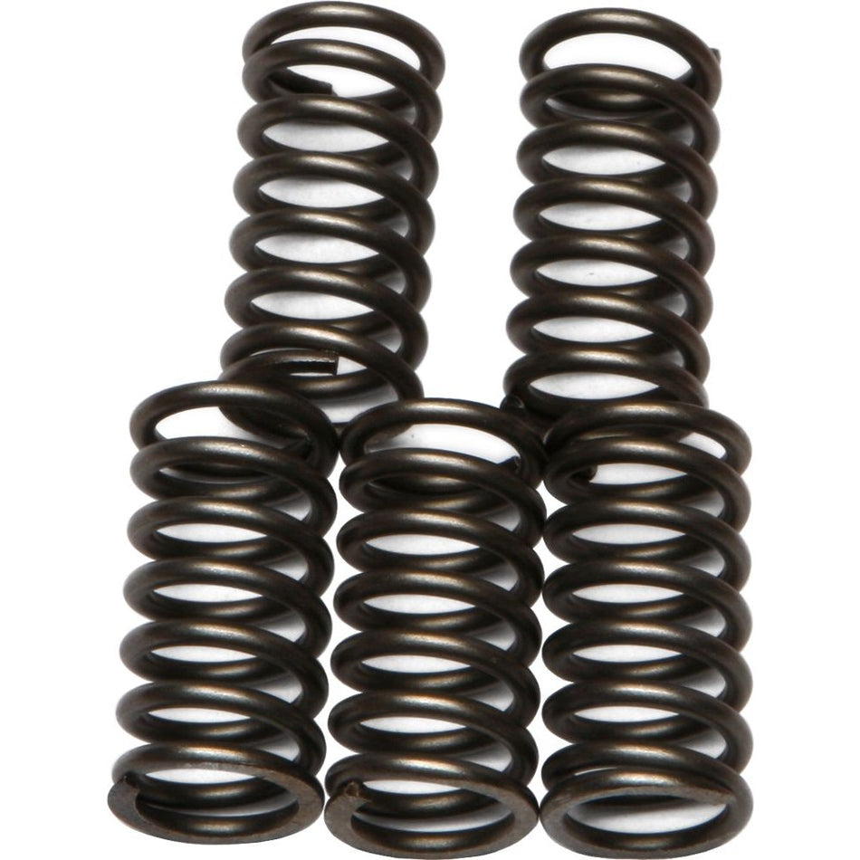 ebc-clutch-springs-csk65-15-1765-d537e3f3d7