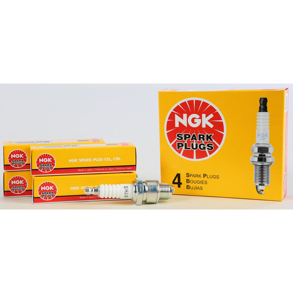 NGK SPARK PLUG #5110/04