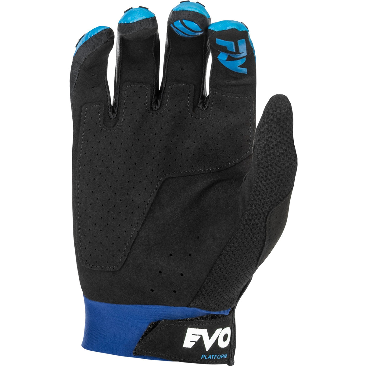 fly-racing-evolution-dst-gloves-blue-white-59a96538df-1